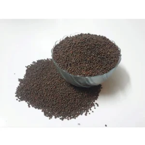 Mustard Microgreen Seeds – Easy to Grow, Quick Harvest